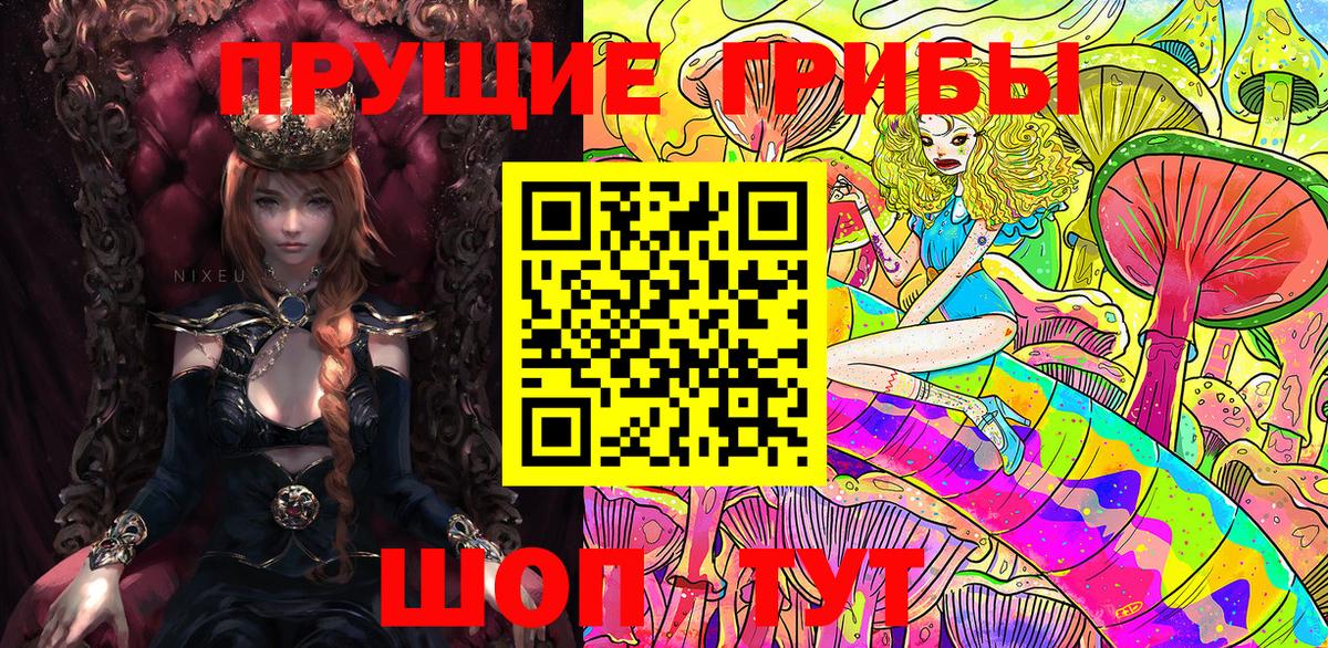 Галлюциногенные грибы GOLDEN TEACHER  Галлюциногенные грибы Psilocybine cubensis  Вход с VPN  Краснокамск 